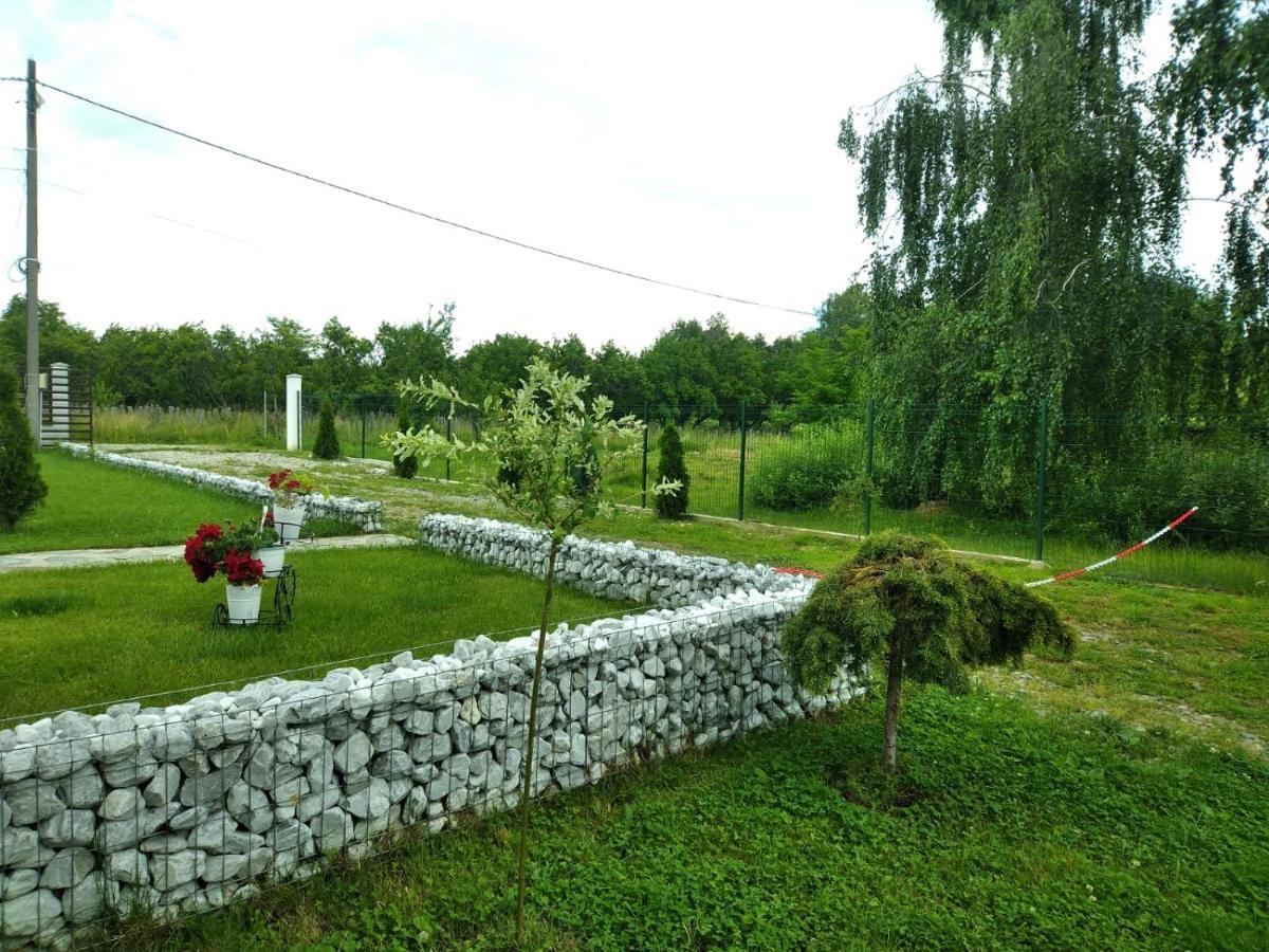 Pensiunea Casa Nusa Baia de Fier Exterior foto