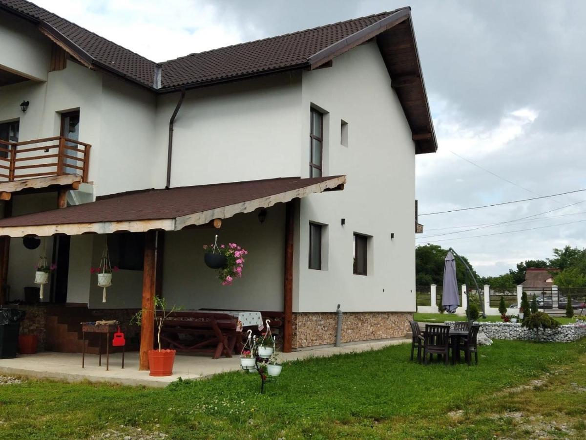 Pensiunea Casa Nusa Baia de Fier Exterior foto