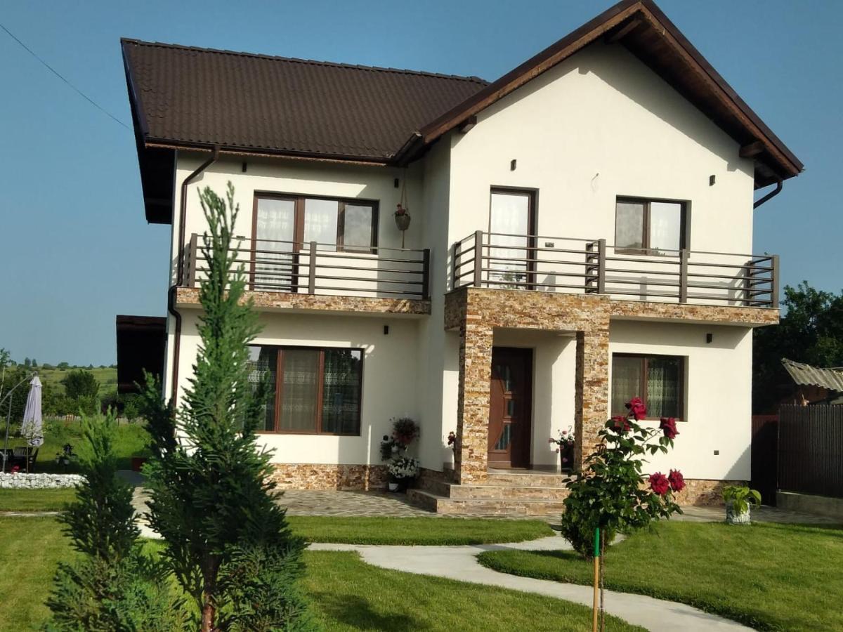 Pensiunea Casa Nusa Baia de Fier Exterior foto
