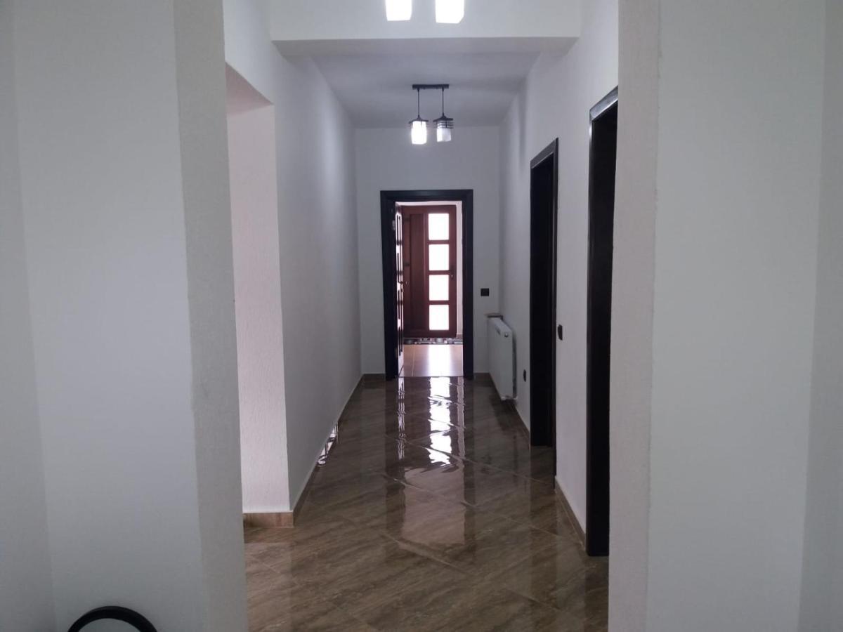 Pensiunea Casa Nusa Baia de Fier Exterior foto