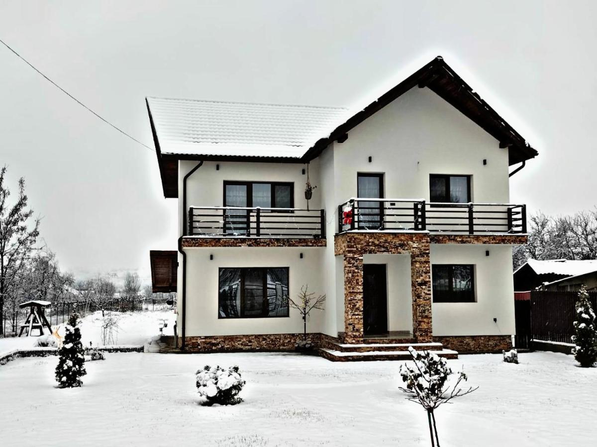 Pensiunea Casa Nusa Baia de Fier Exterior foto