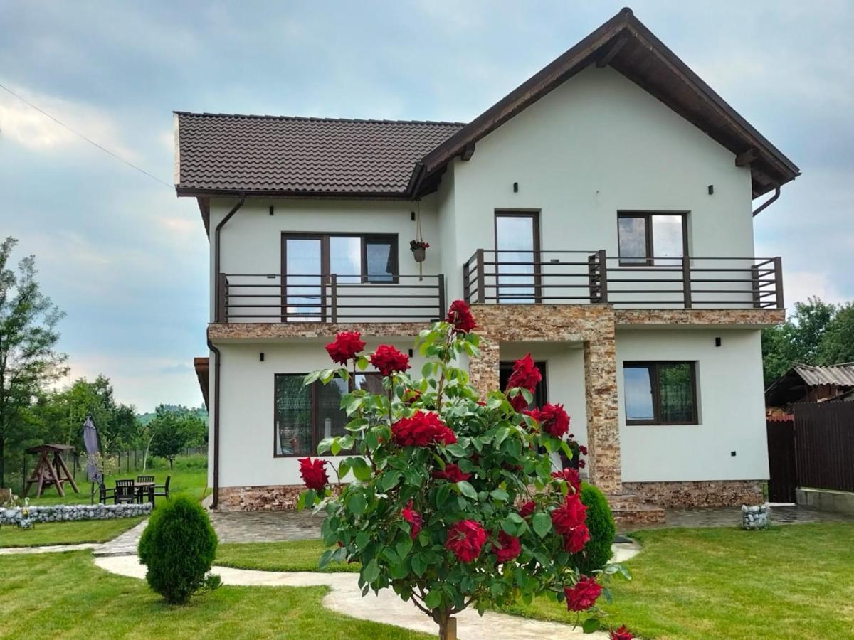 Pensiunea Casa Nusa Baia de Fier Exterior foto